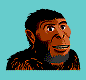 drawing of Australopithecus robustus